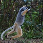 Madagascar Salama*  (*“Hello there!” in Malagasy), September 2018  Part One